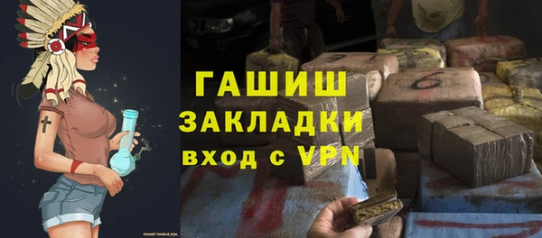 индика Вяземский