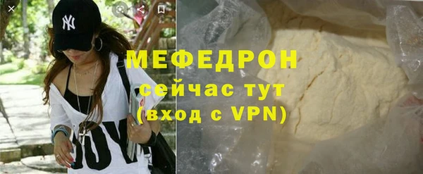 индика Вяземский