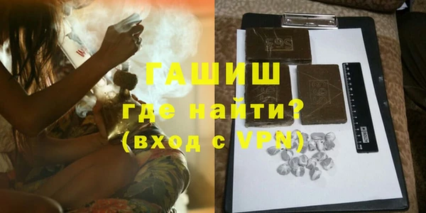 индика Вяземский