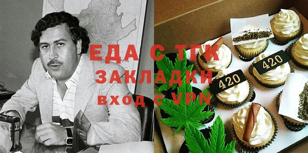 индика Вяземский