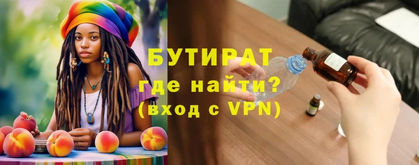 индика Вяземский