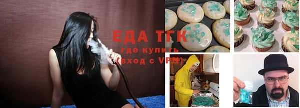 индика Вяземский
