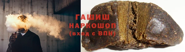 индика Вяземский