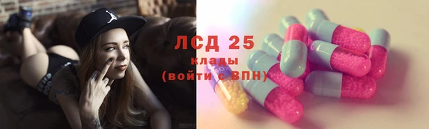 apvp Вязники