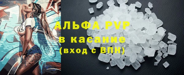 индика Вяземский