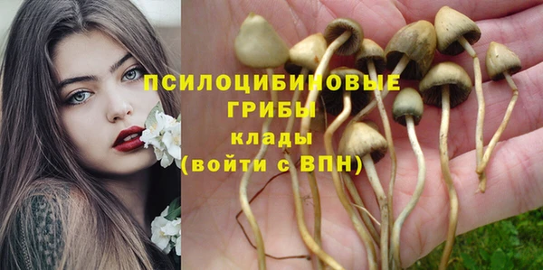 apvp Вязники