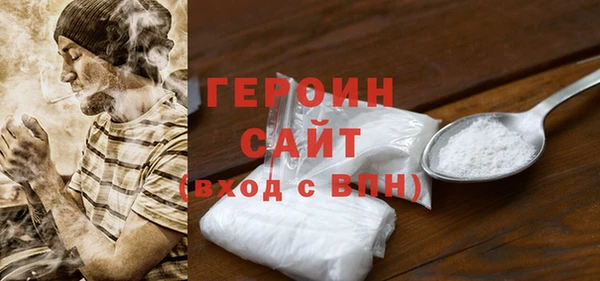 индика Вяземский
