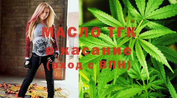 индика Вяземский