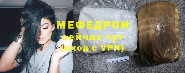 индика Вяземский