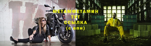 индика Вяземский