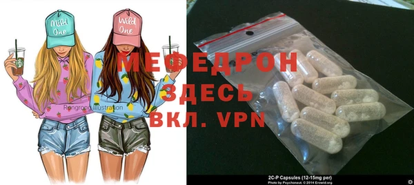 индика Вяземский