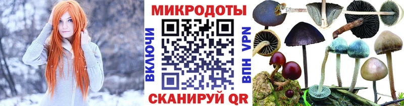 Галлюциногенные грибы Cubensis  Заозёрск 